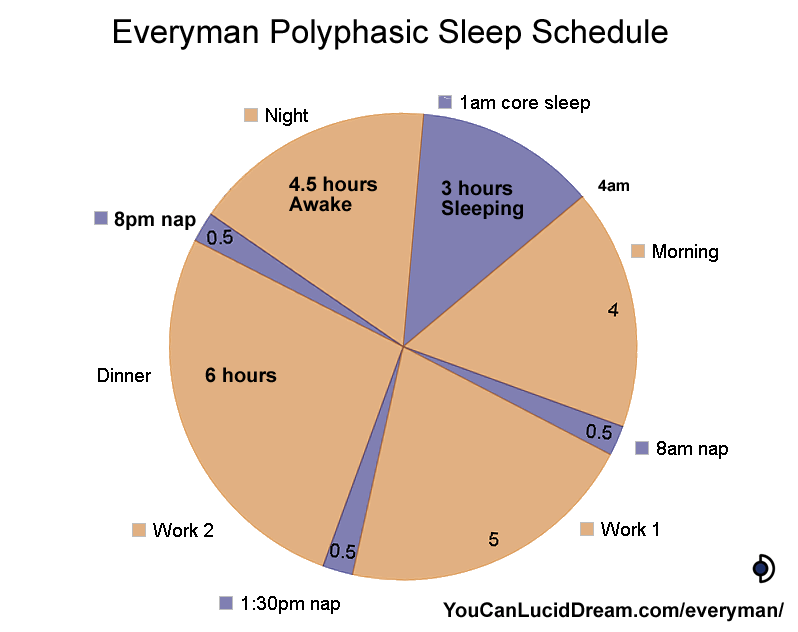 Everyman Sleep Schedule Graph Beholder Sphere