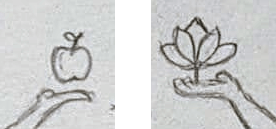 Apple and Lotus Flower