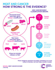 cancer and eating meat infographic
