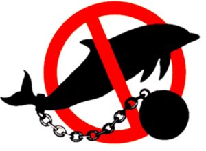No Animal Slavery
